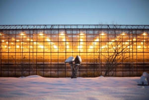 スカールファバッキ：ゴールデンサークル小グループ1日ツアー