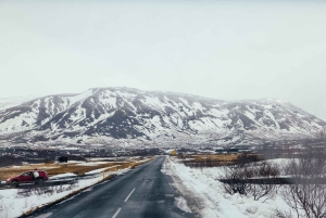 スカールファバッキ：ゴールデンサークル小グループ1日ツアー