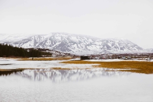スカールファバッキ：ゴールデンサークル小グループ1日ツアー
