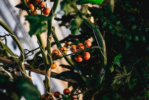 スカールファバッキ：ゴールデンサークル小グループ1日ツアー