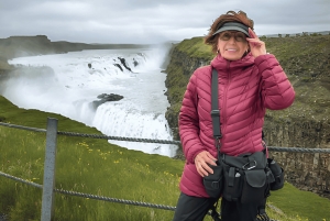 Liten grupp: Gyllene cirkeln och Friðheimar från Reykjavík