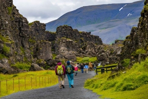 Liten grupp: Gyllene cirkeln och Friðheimar från Reykjavík