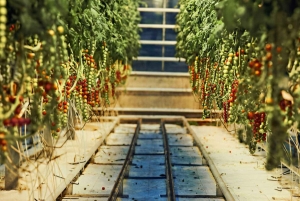 Liten grupp: Gyllene cirkeln och Friðheimar från Reykjavík