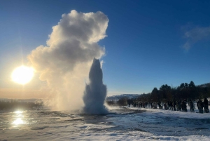 Liten grupp: Gyllene cirkeln och Friðheimar från Reykjavík