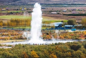 Golden Circle i liten grupp på spanska: Från kryssningsterminalen