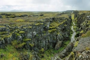 Golden Circle i liten grupp på spanska: Från kryssningsterminalen