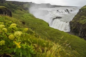 Reykjavik: Small Group Golden Circle from Cruise Terminal