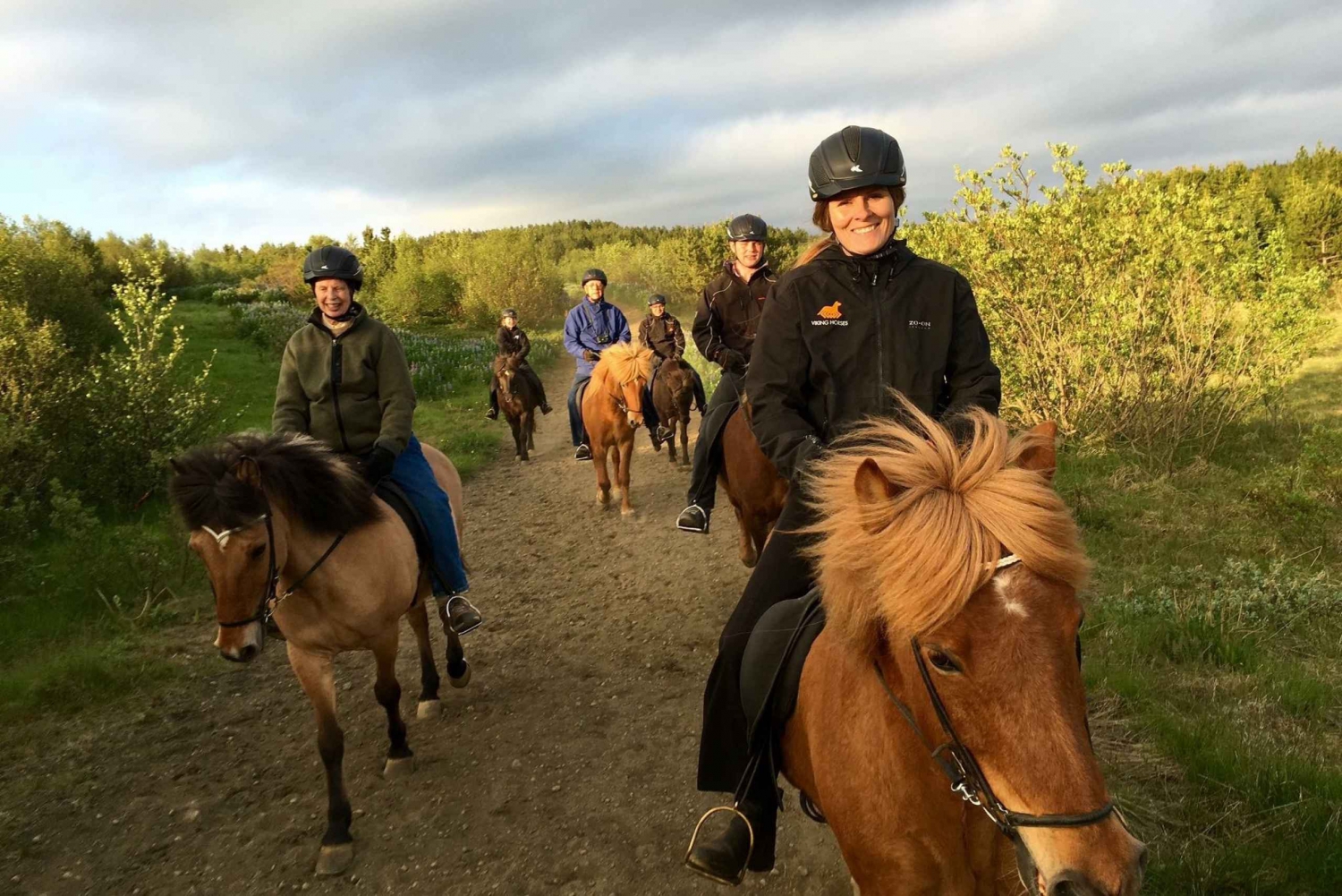 From Reykjavik: Small-Group Horse Riding Tour with Pickup
