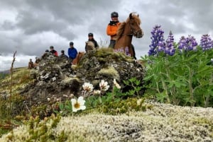 Reykjavik: Small-Group Horse Riding Tour with Pickup