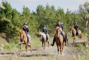 Depuis Reykjavik : Excursion à cheval en petit groupe avec prise en charge