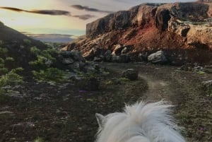 From Reykjavik: Small-Group Horse Riding Tour with Pickup