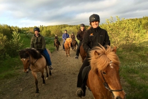 De Reykjavik: Tour em pequenos grupos a cavalo com serviço de busca