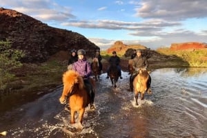 Reykjavik : Randonnée à cheval sur le Sleipnir en soirée avec prise en charge