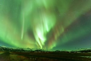 Tour per piccoli gruppi premium dell'aurora boreale da Reykjavik