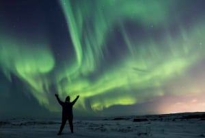 Tour per piccoli gruppi premium dell'aurora boreale da Reykjavik