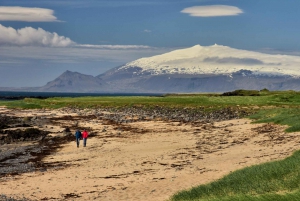 From Reykjavik: Snaefellsnes National Park - Small Group
