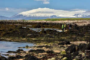 From Reykjavik: Snaefellsnes National Park - Small Group