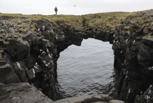 Wycieczka w małej grupie po półwyspie Snaefellsnes z hiszpańskim przewodnikiem