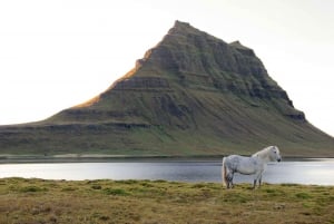 Snaefellsnes-halvøya og Kirkjufell i liten gruppe