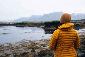 Snaefellsnes Peninsula and Kirkjufell Small-Group Tour