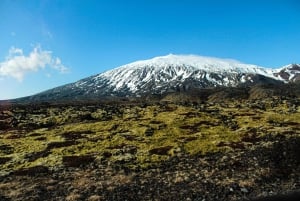 Snæfellsneshalvön - privat heldagstur från Reykjavik