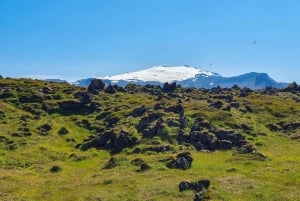 Snæfellsneshalvön - privat heldagstur från Reykjavik