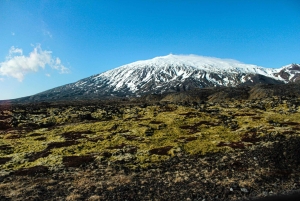 Snæfellsnes Halbinsel - Ganztagestour private Tour ab Reykjavik