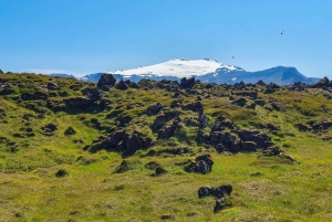 Snæfellsnes Halbinsel - Ganztagestour private Tour ab Reykjavik