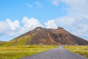 Tour por la península de Snæfellsnes: focas y puntos destacados de la costa