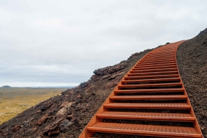 Tour por la península de Snæfellsnes: focas y puntos destacados de la costa
