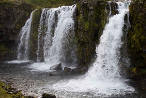 Tour por la península de Snæfellsnes: focas y puntos destacados de la costa