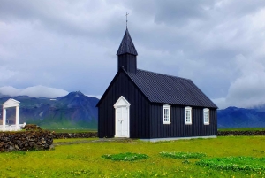 Tour por la península de Snæfellsnes: focas y puntos destacados de la costa