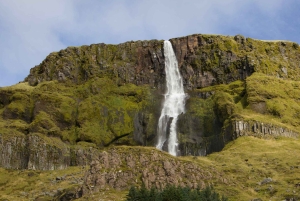 Tour por la península de Snæfellsnes: focas y puntos destacados de la costa