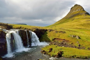 Tour por la península de Snæfellsnes: focas y puntos destacados de la costa