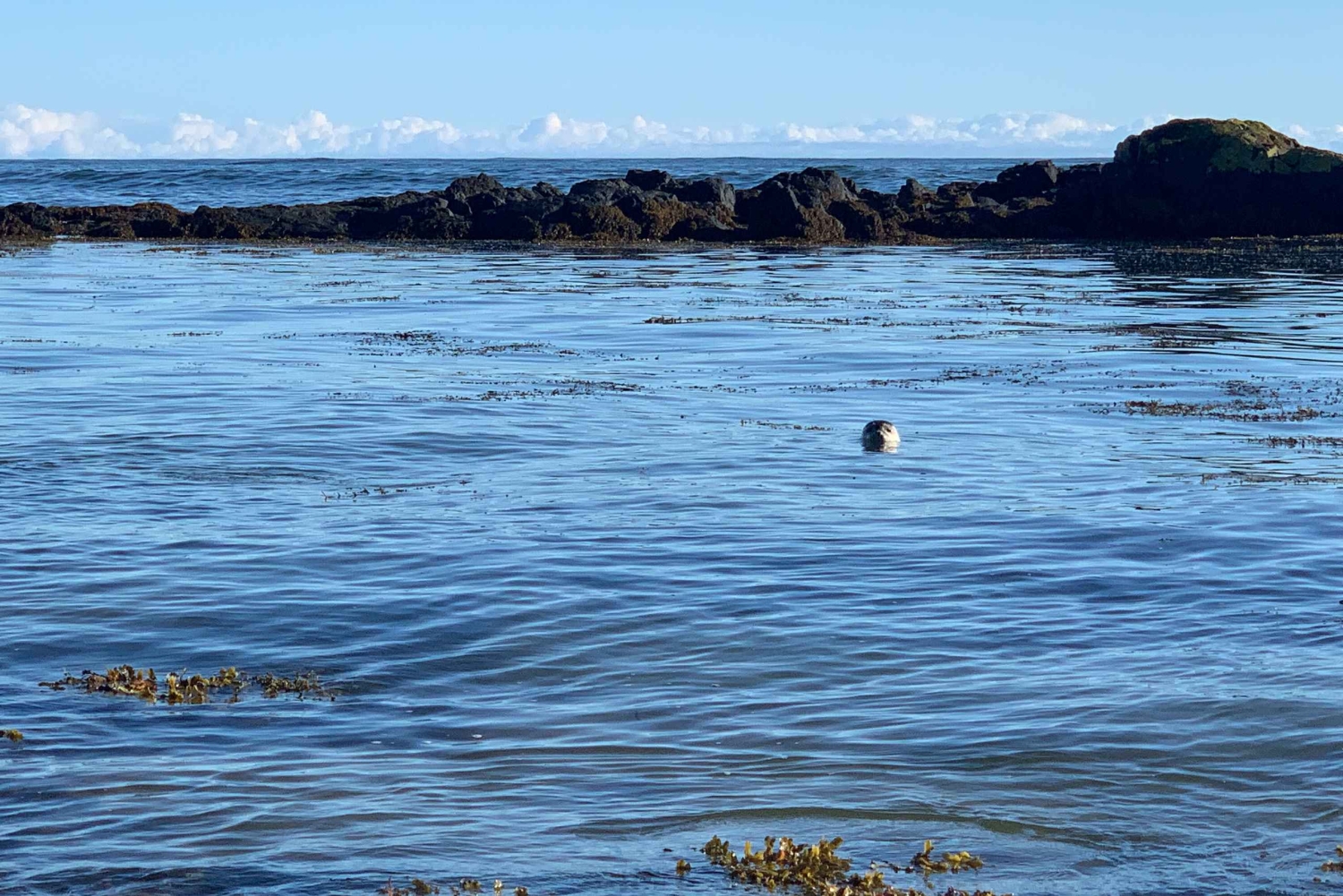 Snæfellsnes, Super Jeep particular