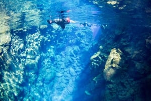Snorkeling in Silfra Fissure - Small Group Adventure