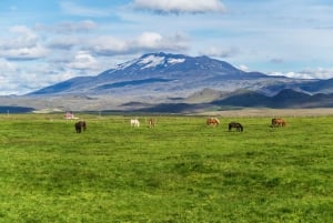 South Coast Classic: Full-Day Tour from Reykjavik