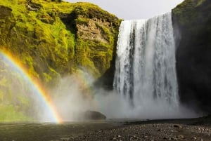 South Coast - Luxury Private Day Tour from Reykjavik