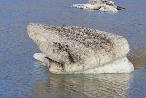 Private Day Tour South Coast with Glacier Walk