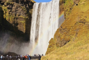 Private Day Tour South Coast with Glacier Walk