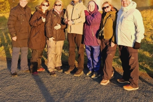 Private Day Tour South Coast with Glacier Walk