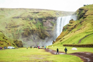 From Reykjavik: South Coast Full-Day Trip