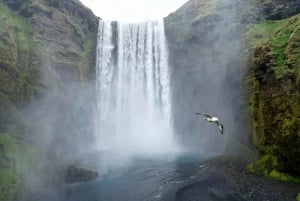 South Coast with Diamond Beach and Jökulsárlón Private Tour