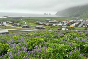 Южное побережье с полуостровом Дирхолей Индивидуальный тур