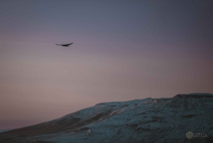 Знаменитое Золотое кольцо: индивидуальная экскурсия