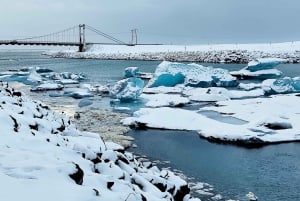 Tour privato 'Gemme glaciali': costa sud e spiaggia di diamanti