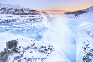The Golden Circle and Fridheimar Day Tour from Reykjavik