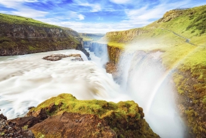 The Golden Circle and Fridheimar Day Tour from Reykjavik