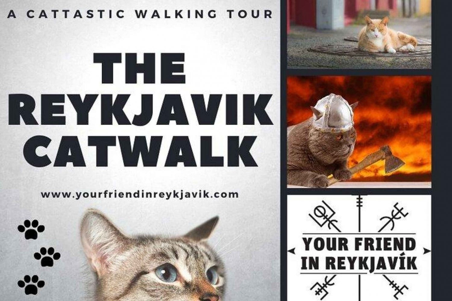 Der private Reykjavik CatWalk