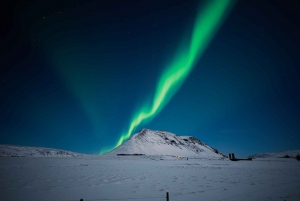 Reykjavik: tour dell'aurora boreale con fotografo privato